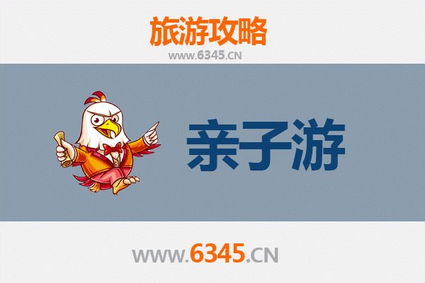 仙桃沙湖镇亲子游全攻略：探索湿地奇趣与田园时光