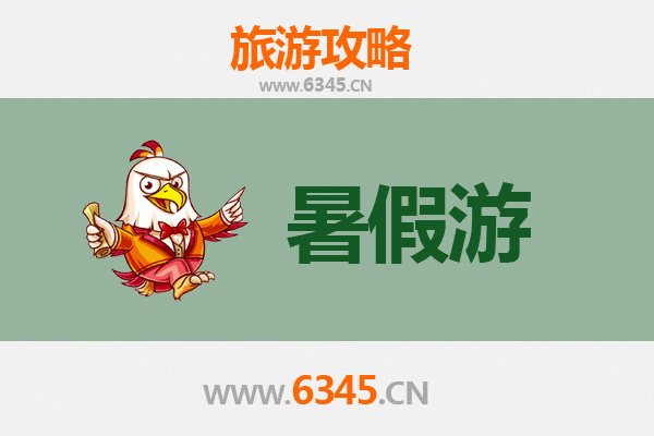 仙桃沙湖镇暑假旅游攻略：湿地风光与美食体验